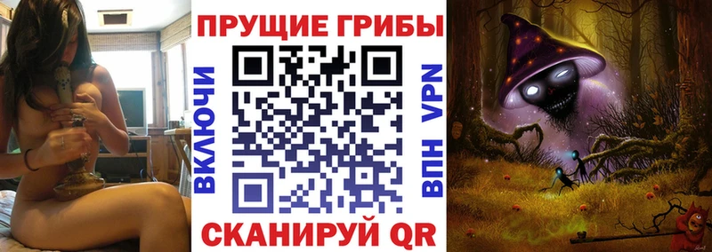 купить  цена  Новодвинск  Псилоцибиновые грибы MAGIC MUSHROOMS 